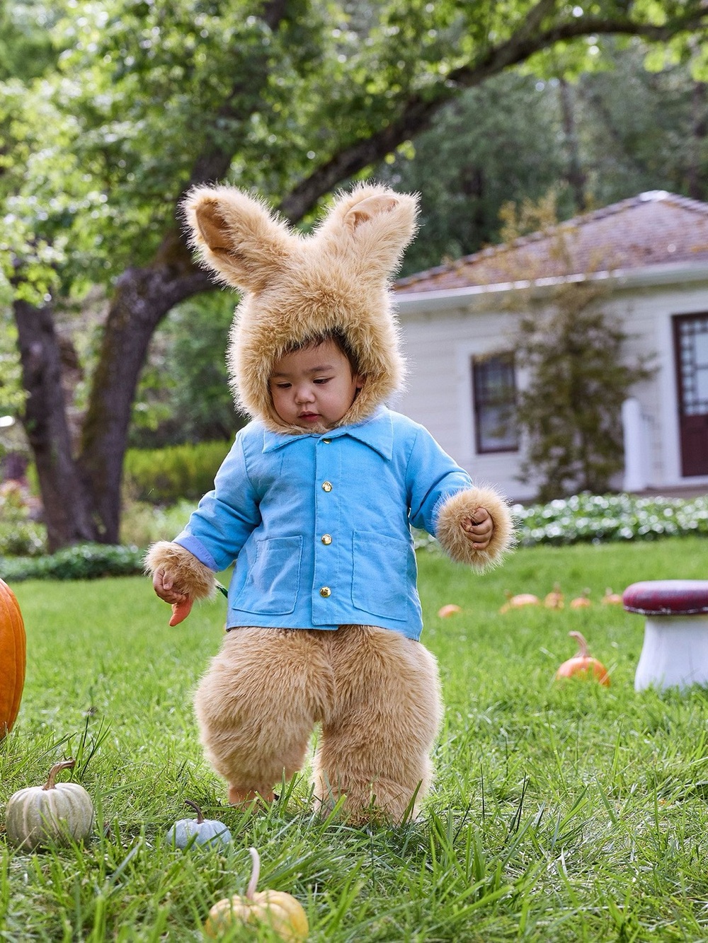 Pottery Barn - Peter Rabbit - Picture 6 of 6